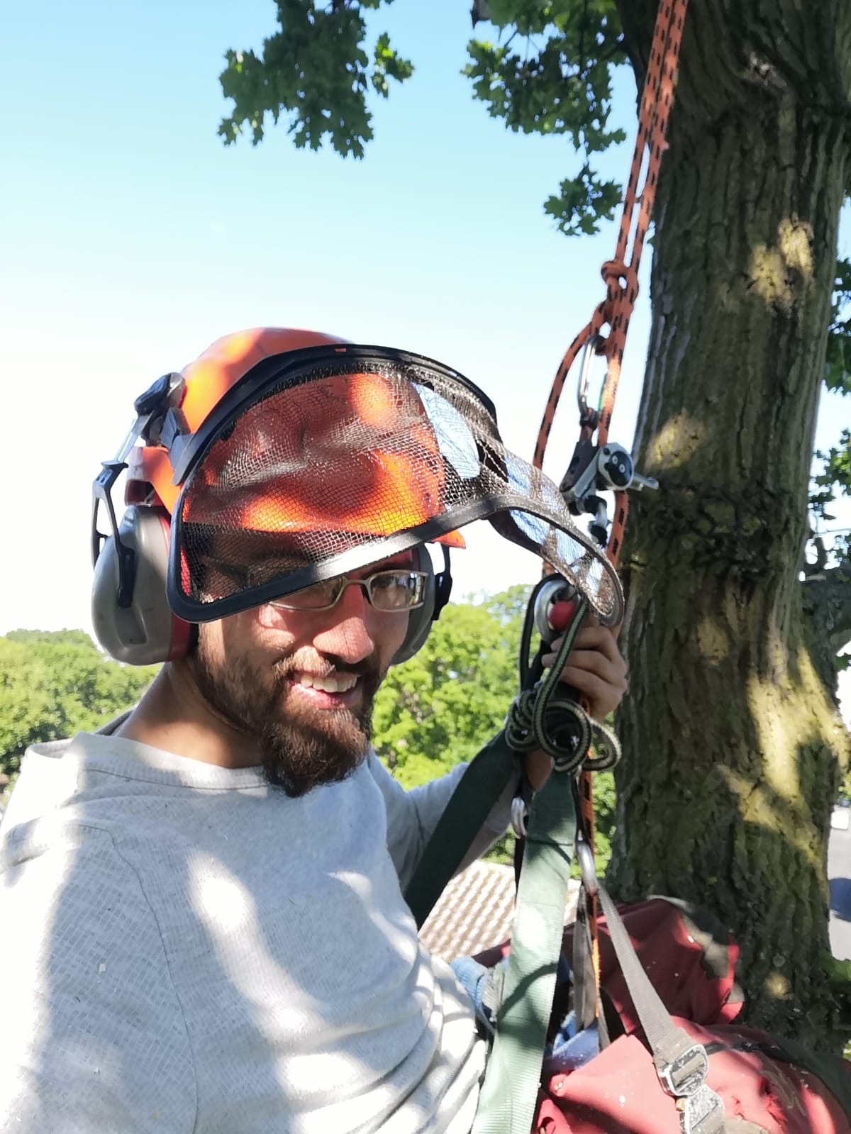 Omar - our founder and chief climber at Shire Trees & Hedges